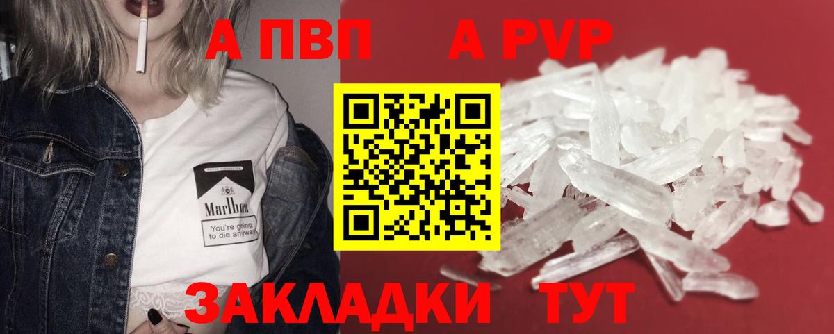 Альфа ПВП СК КРИС Курчалой