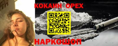 гашик Кандалакша
