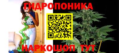 гашик Кандалакша