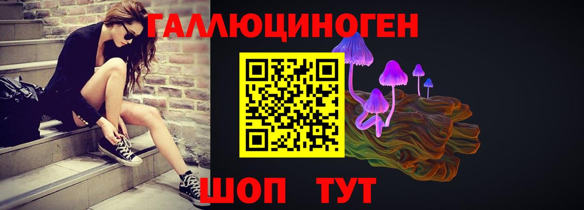 Галлюциногенные грибы ЛСД Курчалой